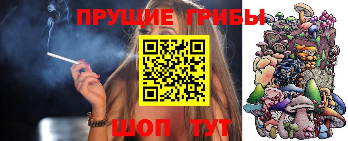 Кудрово  Галлюциногенные грибы мухоморы  Вход с VPN  Псилоцибиновые грибы Magic Shrooms 